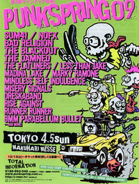 punkspring09flyer.jpg