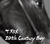 20th Century Boy ジャケット写真