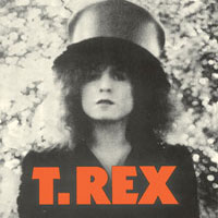 T.REX［THE SLIDER］（T・レックス［ザ・スライダー］）：TECI