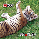 PUNK IT! MAX!