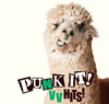 Punk it