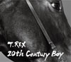 T.REX�F20th Century Boy